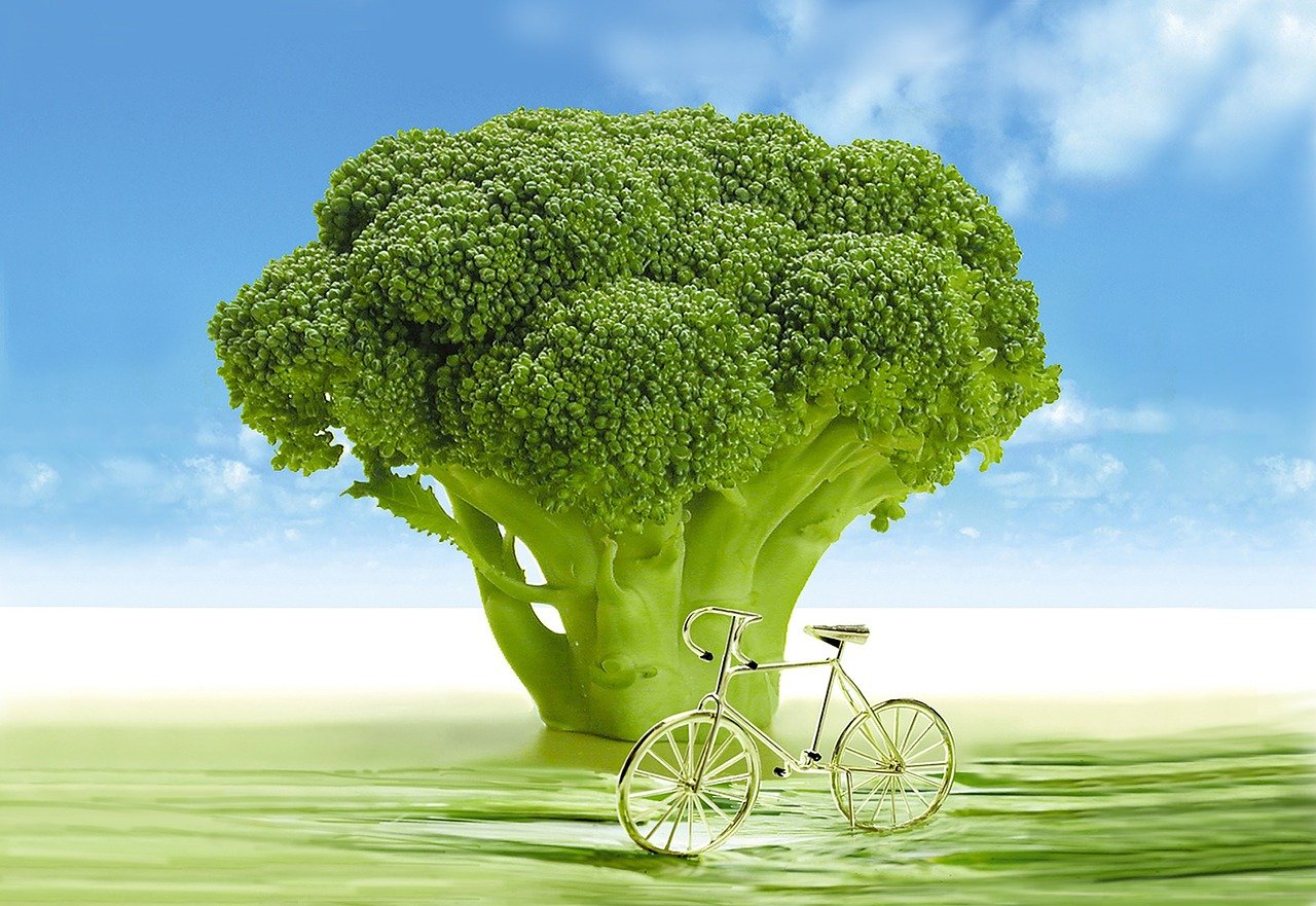杭州植物园美食小吃，自然中的味蕾之旅