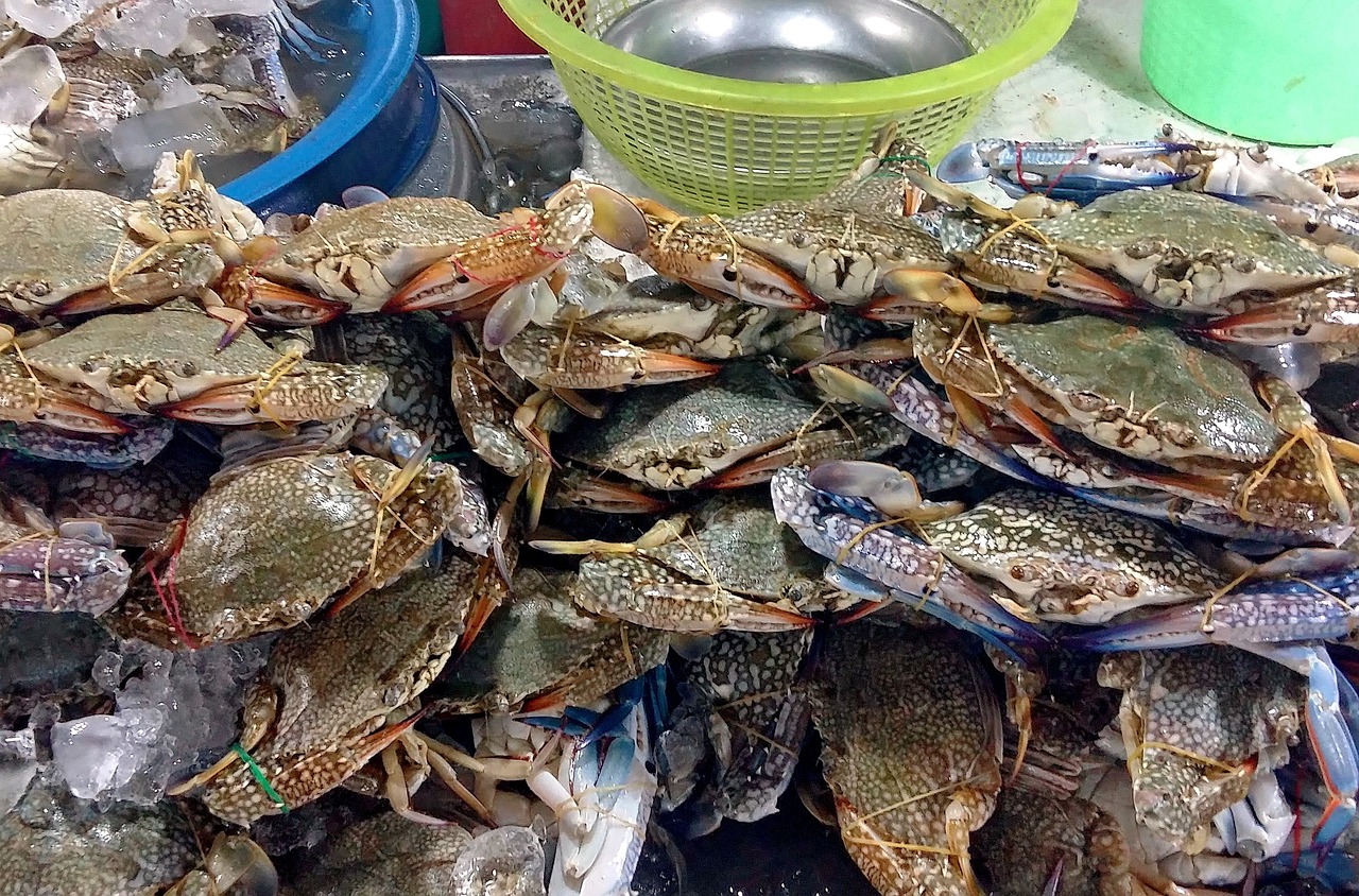 三亚旅游美食攻略，反派角色的味蕾之旅